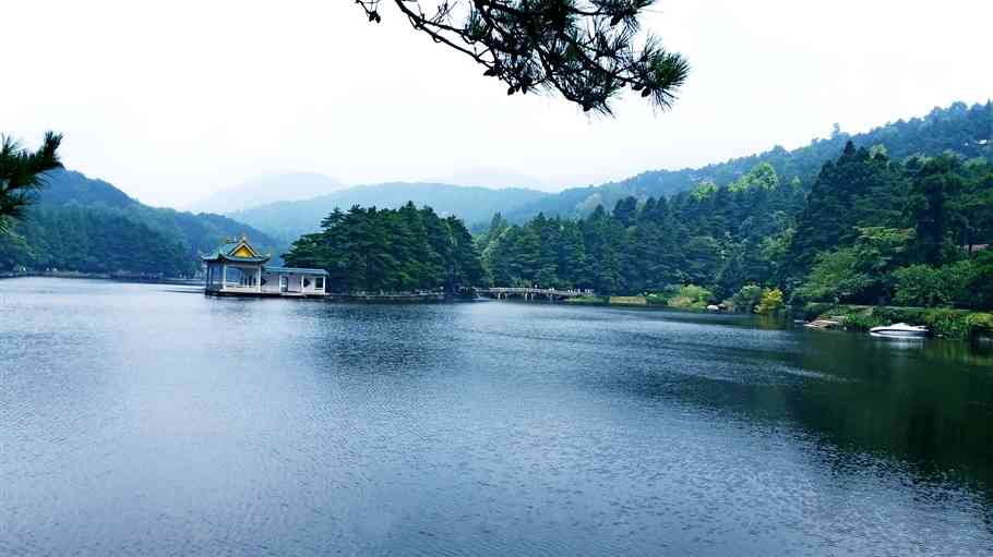 烟雨庐山，惊鸿一瞥