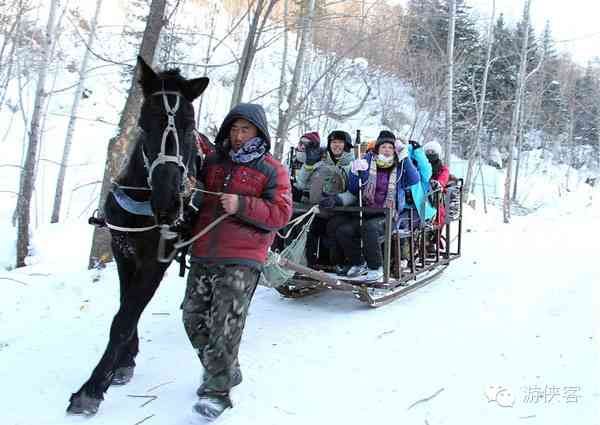 雪乡·雪谷·雪村·雪岭，东北雪景哪里最美？