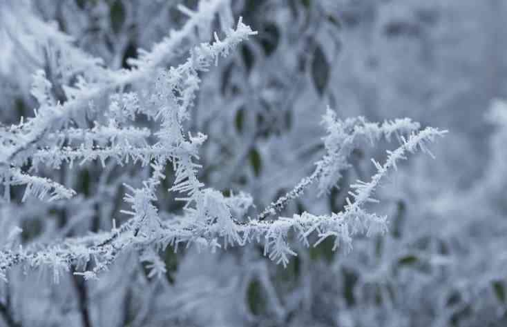 莽山景区景点有哪些？莽山冬季有雪有雾凇吗？