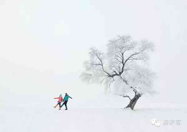 雪乡·雪谷·雪村·雪岭，东北雪景哪里最美？