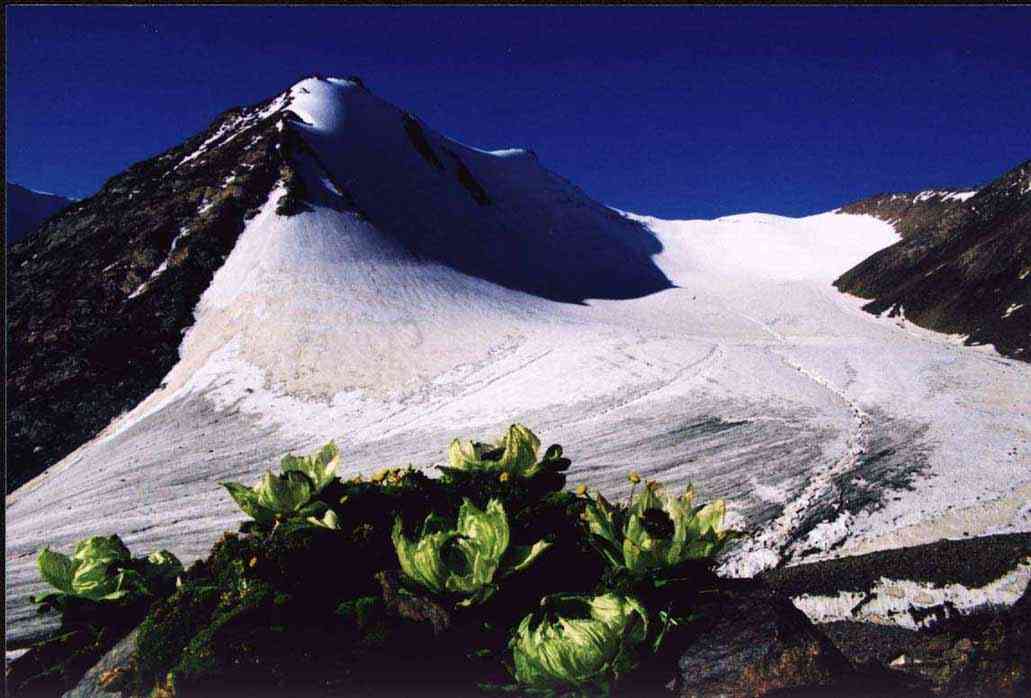 谁持彩练当空舞，五月天山倒春寒——新疆天山旅游推荐