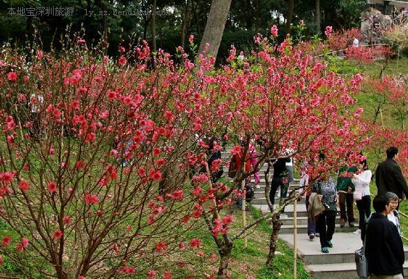 连云港桃花涧