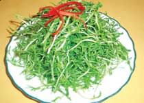 山茅野菜