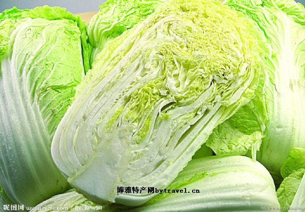 阿城大白菜