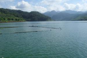 河源万绿观光探险空中漂流御临门温泉度假村两天游