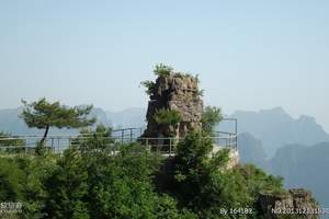 太原到王莽岭_锡崖沟一日游多少钱