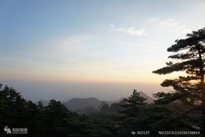 淄博旅行社-淄博出发到泰山祈福一日游