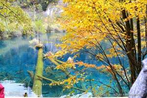 江西南昌到四川旅游 成都九寨沟黄龙四飞五日游 九寨沟团购