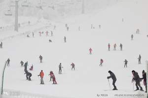 昆明、大理双廊古镇、丽江大研古镇、玉龙雪山、束河古镇双飞五日