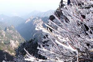 绍兴出发到黄山、九龙瀑、屯溪老街二日游（住山下常规）