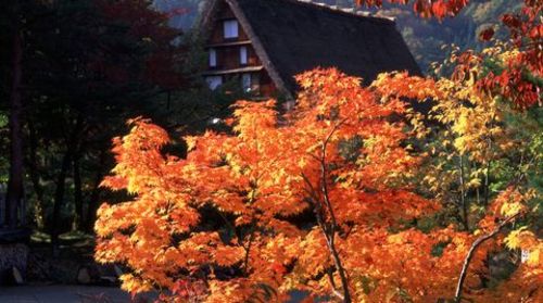 <日本本州6日游>白川乡，泡温泉游富士，清水寺