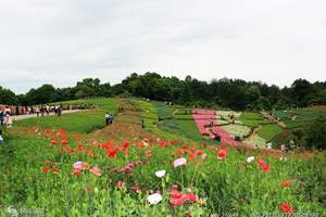 成都周边踏青赏花去哪里_三八节去哪里玩_三八节石象湖一日游