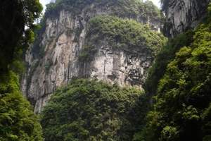 武隆四天旅游景点，武汉去武隆地缝-天坑-大足【双飞四日游】