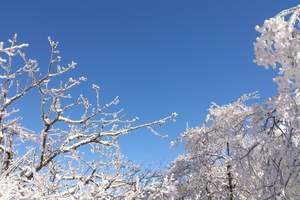 到江西黄山多少钱？黄山婺源景德镇双飞四天