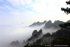 黄山二日游【黄山+徽州古城】 赏黄山美景+品徽州文化 完美！