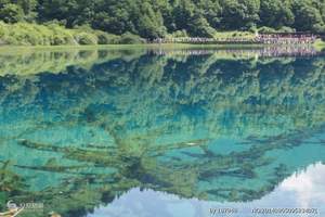 节后广州出发到九寨沟、黄龙、峨眉山、乐山大佛成都四飞五天团