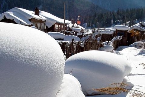 <哈尔滨-亚布力-二浪河-雪乡3日游>滑雪，观雪（当地游）