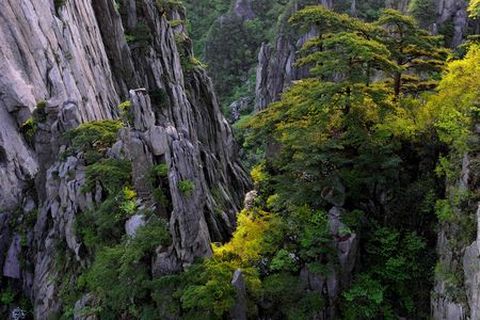 <婺源-黄山-景德镇3日游>千年古村落、瓷都，登黄山（当地游）