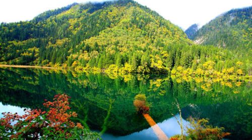 <九寨-黄龙-松潘古城4日游>赠千古情和藏家土火锅，升级中晚餐