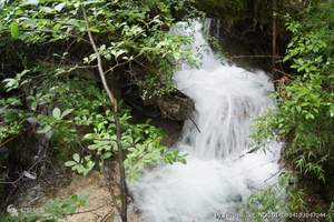 石家庄到九寨沟旅游多少钱 九寨沟双飞七日游（含乐山、峨眉）