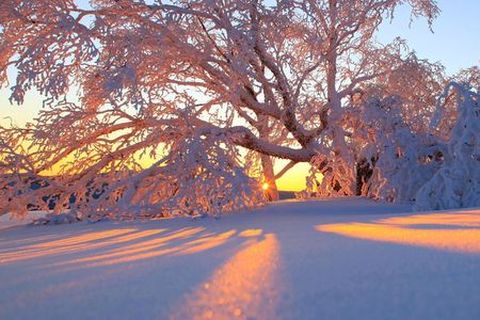 <哈尔滨-亚布力-雪乡4日游>体验滑雪，登大秃顶子山（当地游）