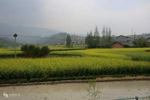 兰州到九寨沟旅游路线 九寨沟汽车四日游