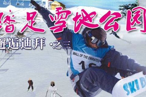 <迪拜1日游>雪地公园，高端室内跳伞，室内滑雪（当地游）