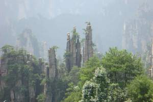 石家庄到张家界飞机团 长沙、韶山、凤凰古城、张家界双飞六日游