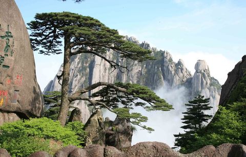 <黄山全景2日游>黄山市内参团，观日出，门票全含赠景交