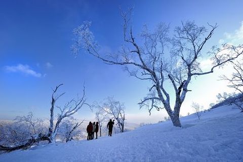 <哈尔滨-雪乡3日游>北国风光 梦幻景色（当地游）