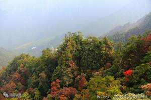 特卖线路_南宁到大明山旅游 大明山休闲一日游 南宁周边游