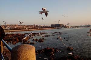 【特惠】上海到青岛、蓬莱、威海、烟台、日照、连云港5日